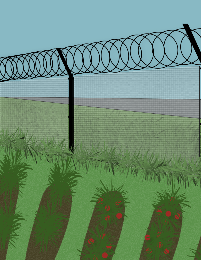 Garden Time Uses Prison Gardens and Green Jobs Training to Support Rehabilitation at Rhode Island’s ACI
