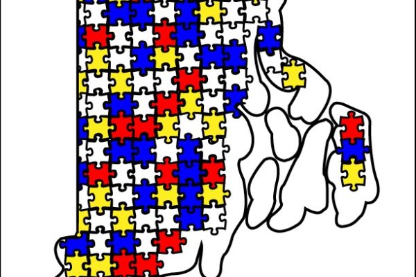 An outline of rhode island with puzzle pieces colored: white, blue, yellow, and red. Representing mental health, laws, community action, and emergency response.