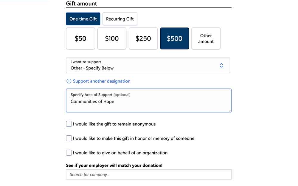 Image of a sample donation page.